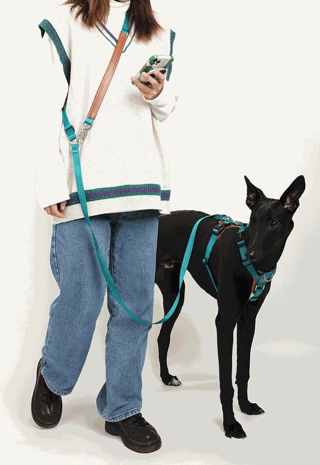 Person wearing casual outfit using the Professional Tactical No-Pull Harness - Heavy-Duty Outdoor Training Vest on a black dog, showing durable teal harness and matching leash for controlled outdoor walks.