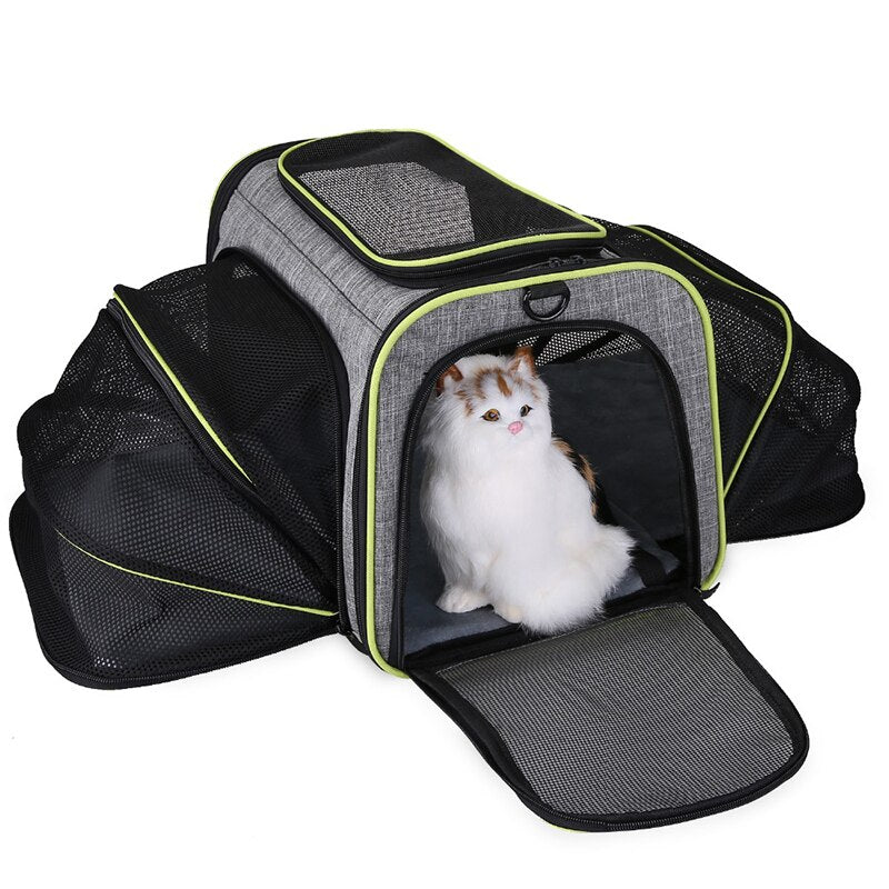 Calico cat sitting inside a Professional Mesh Adventure Backpack - Expandable High-Ventilation Travel Carrier with fully expanded mesh sides and front opening for airflow and comfort.