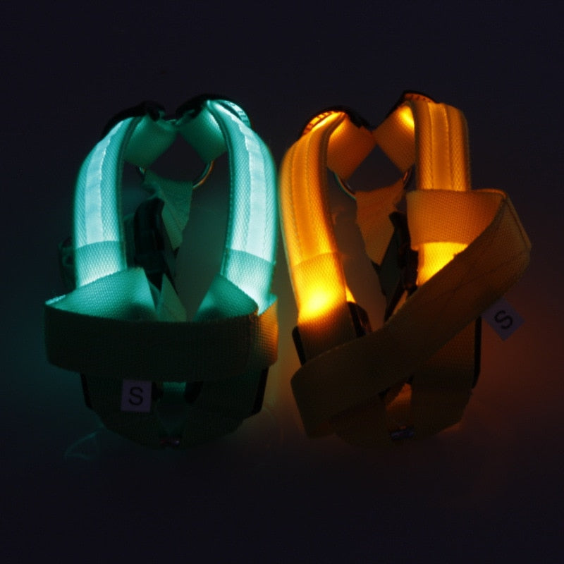 Two illuminated Night-Safety LED Glow Harness - USB Rechargeable Reflective Pet Vests glowing in blue and orange for high-visibility safety during nighttime walks.