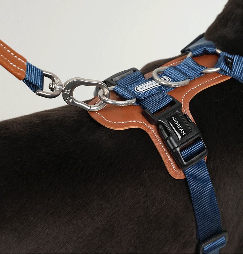Close-up of a dark-coated dog wearing the Professional Tactical No-Pull Harness - Heavy-Duty Outdoor Training Vest with blue nylon straps, metal clips, and brown leather accents.