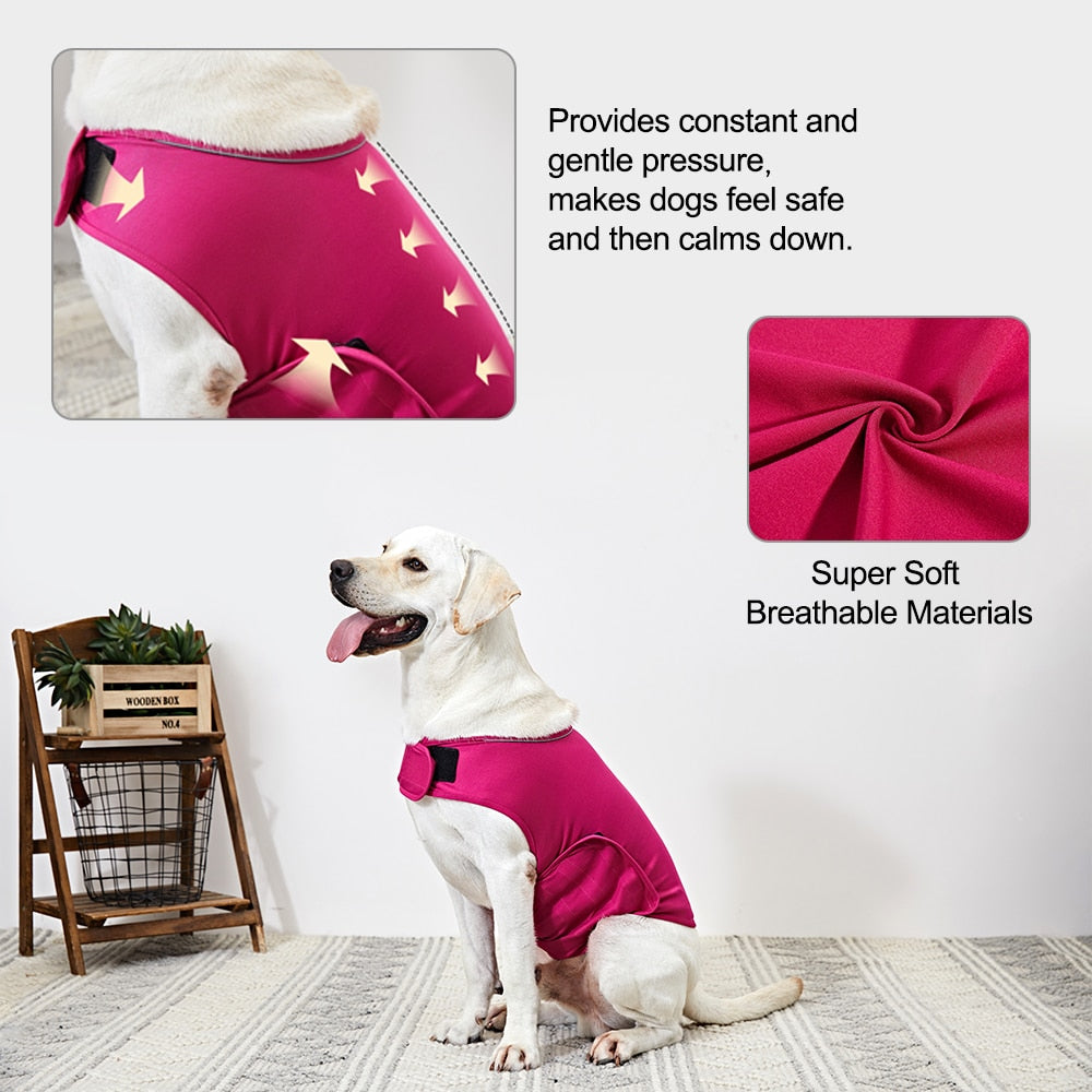 Dog wearing a vibrant pink Anti-Anxiety Compression Vest - Calming Pressure Wrap for Storms & Fireworks made of super soft, breathable material designed to provide gentle, constant pressure for calming effects.