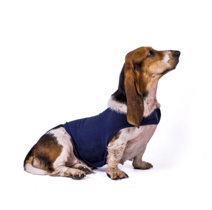 Basset hound wearing an Anti-Anxiety Compression Vest - Calming Pressure Wrap for Storms & Fireworks in midnight navy, designed to provide soothing comfort and reduce anxiety.