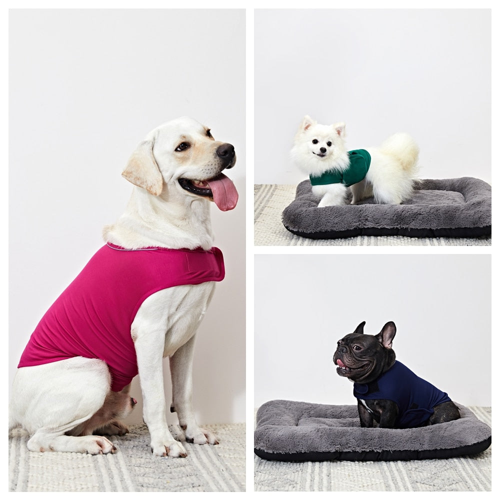 Three dogs of different breeds wearing the Anti-Anxiety Compression Vest - Calming Pressure Wrap for Storms & Fireworks in various colors, demonstrating calming comfort and fit.