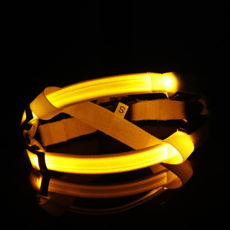 Night-Safety LED Glow Harness - USB Rechargeable Reflective Pet Vest glowing yellow in the dark for high visibility and safety during nighttime walks.