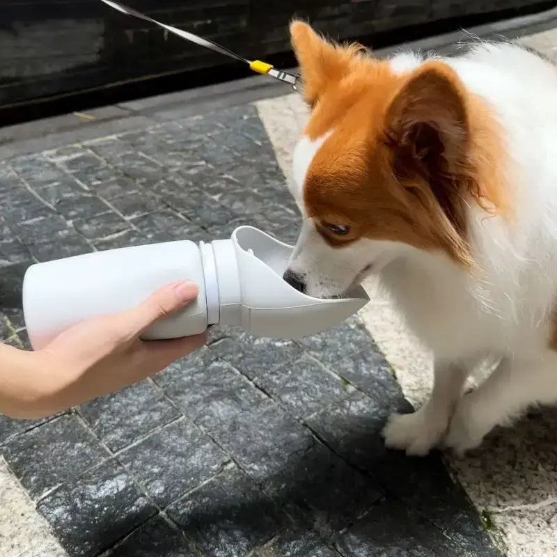 Small dog drinking water from a Soft Silicone Ultra-Compact Dispenser – 550ml Lightweight Minimalist Travel Bottle held by a person outdoors on a stone pavement.