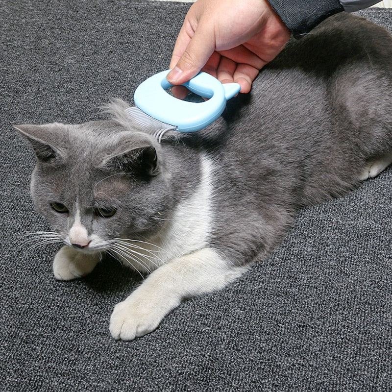 Person grooming a gray and white cat using the Feline Shell Massage Comb - Whisker-Friendly Soft-Needle Deshedding Tool on a carpeted floor.