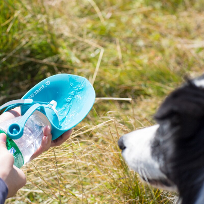 A person pouring water from the Large Silicone Leaf Bottle - 580ml Portable Travel Bottle into its built-in foldable dish while a dog waits outdoors in grassy terrain.