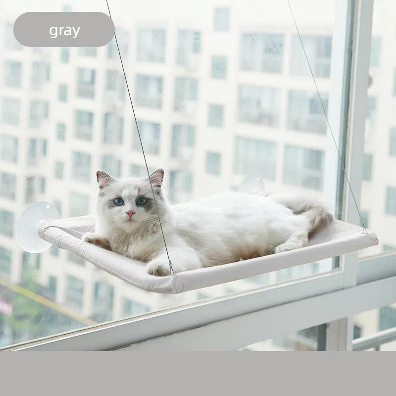 A white and gray cat with blue eyes resting comfortably on a gray Foldable Cat Window Hammock - Space-Saving Suction Cup Perch & Elevated Sunbed attached to a window overlooking an urban landscape.