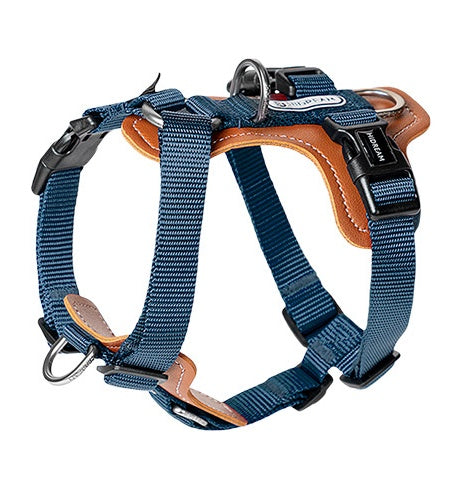 Professional Tactical No-Pull Harness - Heavy-Duty Outdoor Training Vest in durable blue nylon with leather padding, adjustable straps, and sturdy metal D-rings for secure dog control.