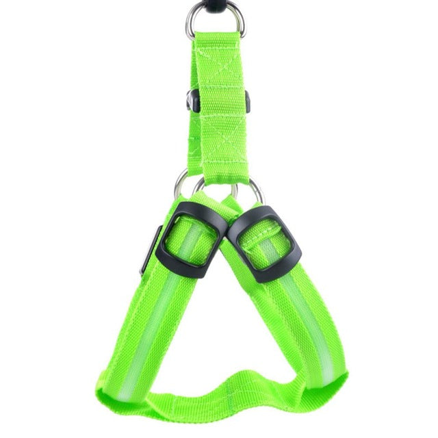 Night-Safety LED Glow Harness - USB Rechargeable Reflective Pet Vest in bright green with adjustable straps and metal rings for secure and high-visibility pet safety.
