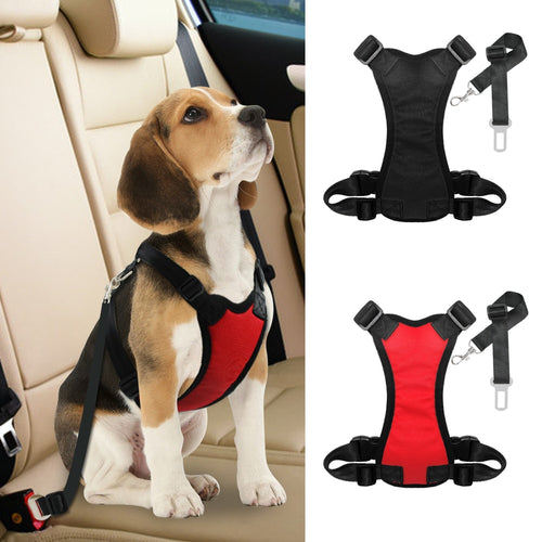 Beagle puppy wearing a red breathable mesh harness attached to a car seatbelt in the backseat, shown alongside black and red versions of the 2-in-1 Dog Car Safety System - Breathable Mesh Harness & Adjustable Seatbelt Lead - No-Choke Vehicle Restraint.