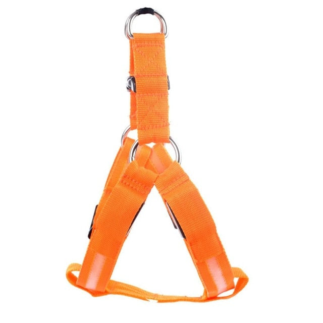 Night-Safety LED Glow Harness - USB Rechargeable Reflective Pet Vest in bright orange nylon with metal D-rings for secure attachment, designed for high-visibility and pet safety.