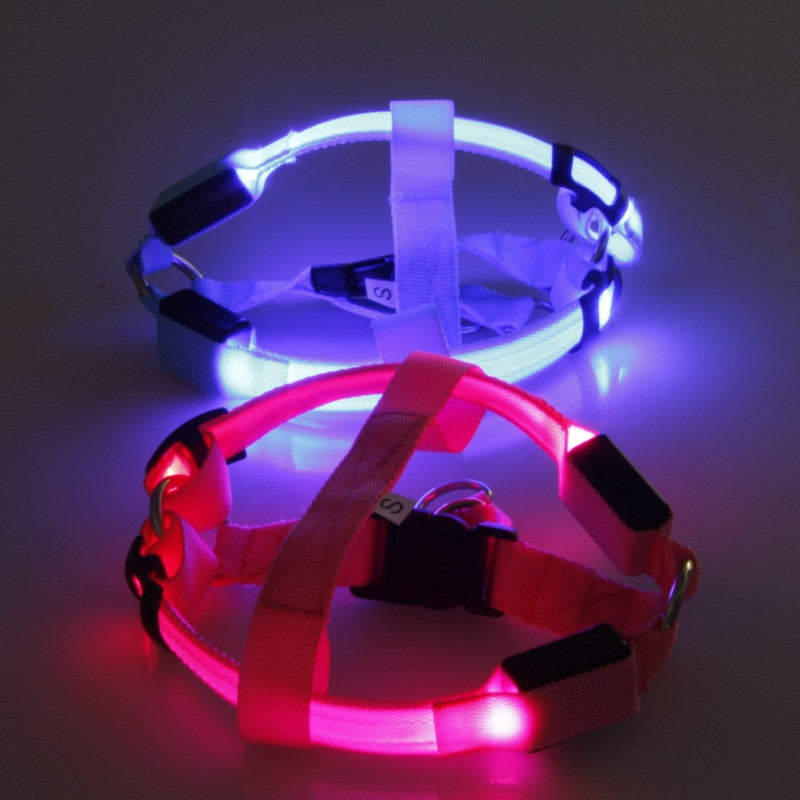 Two Night-Safety LED Glow Harness - USB Rechargeable Reflective Pet Vest glowing in blue and red light, designed for enhanced nighttime visibility and safety for pets.