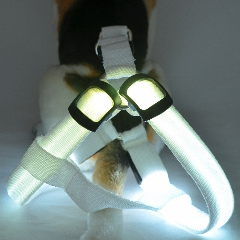 Dog wearing a brightly illuminated Night-Safety LED Glow Harness - USB Rechargeable Reflective Pet Vest glowing in a dark environment for enhanced nighttime visibility and safety.