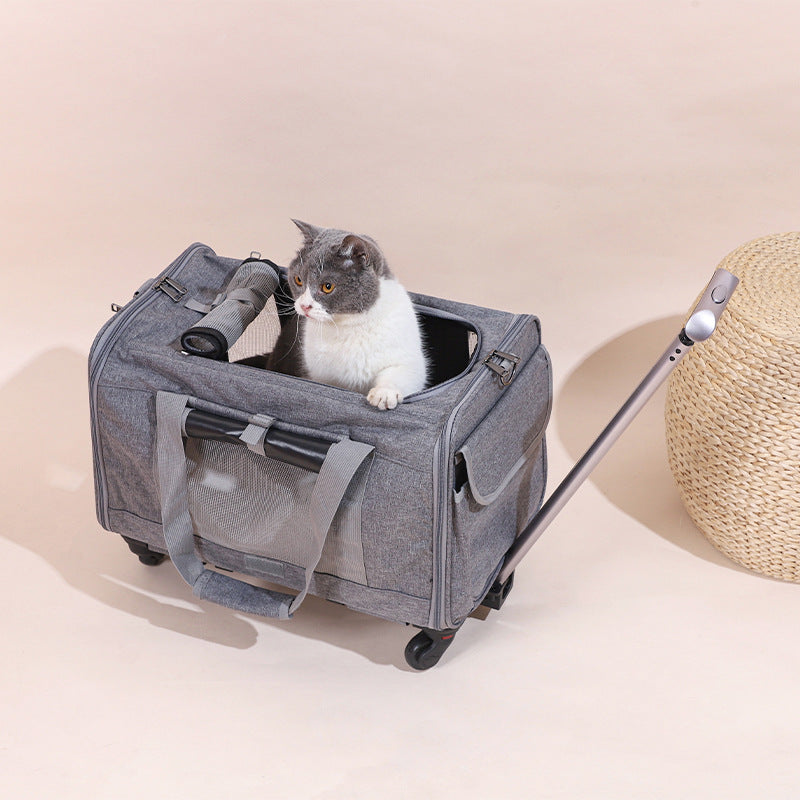 A gray and white cat peeks out of the Elite Rolling Travel Trolley - Convertible 3-in-1 Professional Pet Case in a soft gray fabric with wheels and an extended handle.