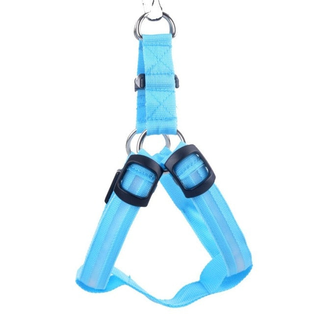 Night-Safety LED Glow Harness - USB Rechargeable Reflective Pet Vest in bright blue with adjustable straps and sturdy metal rings for high-visibility and secure pet safety.