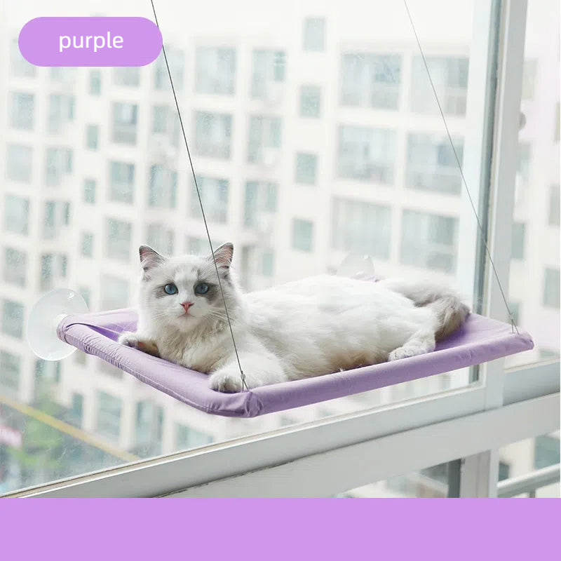 White and gray cat lounging comfortably in a purple Foldable Cat Window Hammock - Space-Saving Suction Cup Perch & Elevated Sunbed attached to a large window with an urban city view.