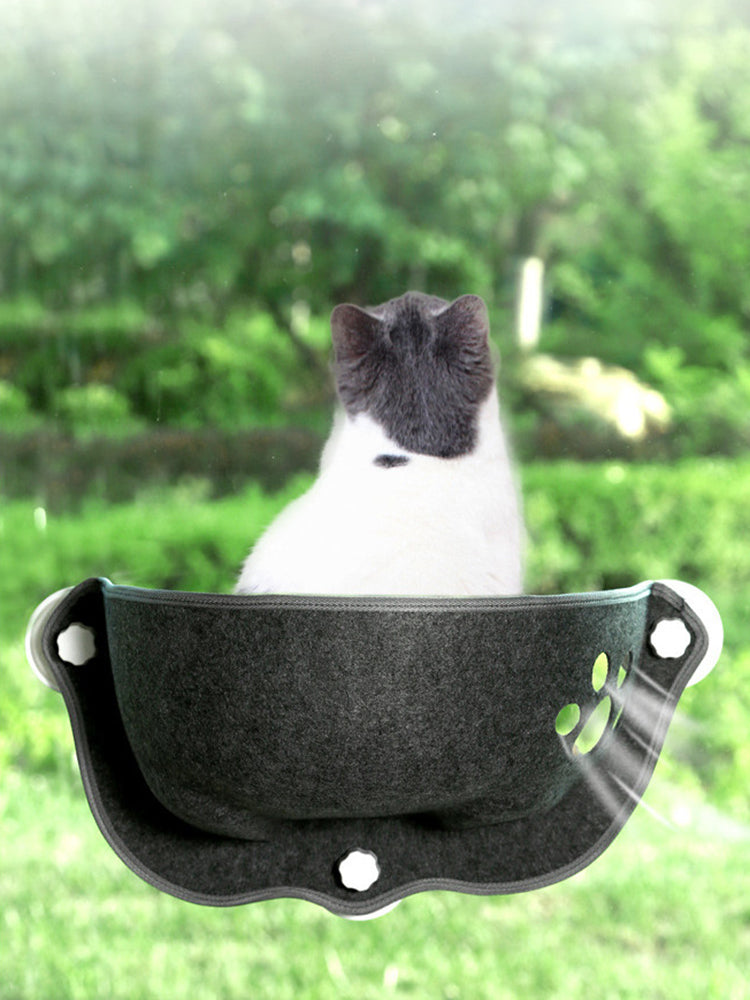 Cat resting in a Luxury Felt Cat Window Pod - Designer Glass-Mounted Sun Lounger & Private Hideaway, mounted on a window with a soft felt surface and paw print design.