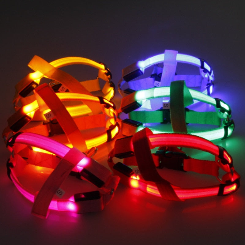 Group of brightly lit Night-Safety LED Glow Harness - USB Rechargeable Reflective Pet Vest in multiple colors including orange, pink, blue, green, and red glowing in the dark.