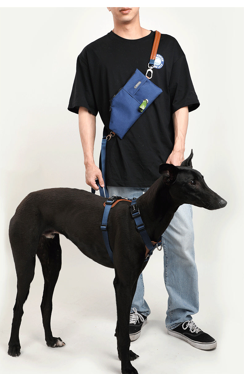 Black dog wearing a Professional Tactical No-Pull Harness - Heavy-Duty Outdoor Training Vest in blue, standing beside a person in casual clothing holding the matching leash.