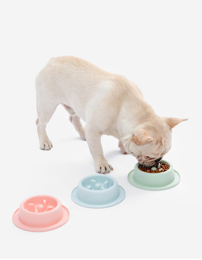A light-colored French Bulldog eating from a green Minimalist Slow Feeder - Modern Anti-Vomit Bowl for Cats & Dogs, with pink and blue slow feeder bowls next to it on a white background.