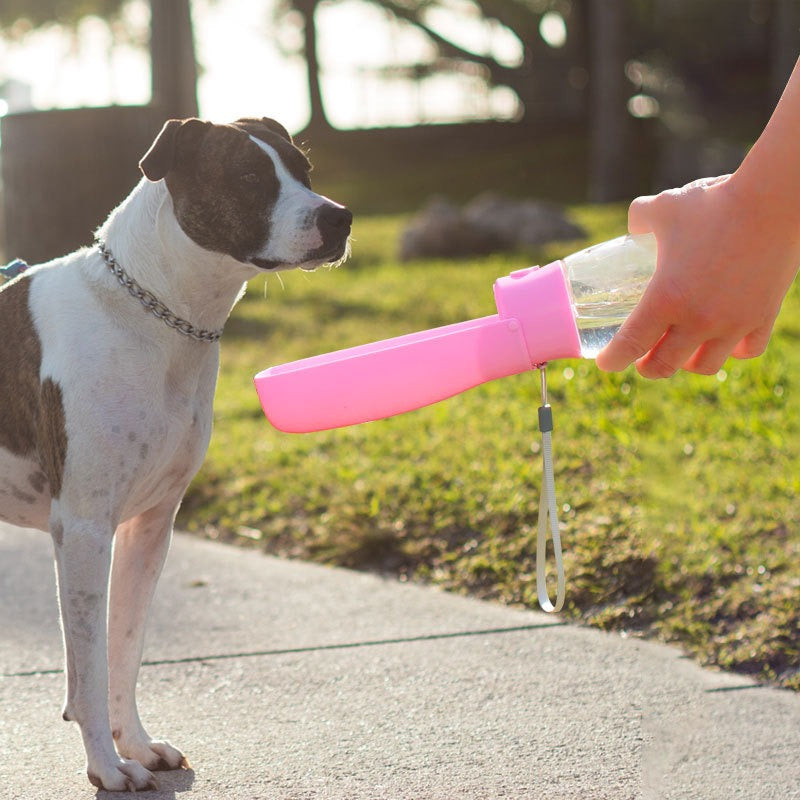 Dog drinking water from a pink Large Capacity Folding Travel Cup - 550ml Portable Hydration Station held by a person outdoors in a park setting.