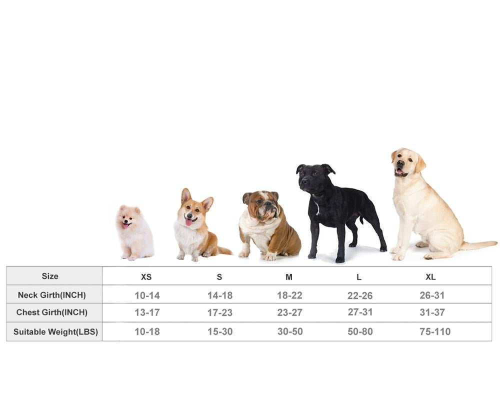Five different dog breeds sitting in a row above a size chart for Anti-Anxiety Compression Vest - Calming Pressure Wrap for Storms & Fireworks showing neck girth, chest girth, and suitable weight ranges for XS to XL sizes.