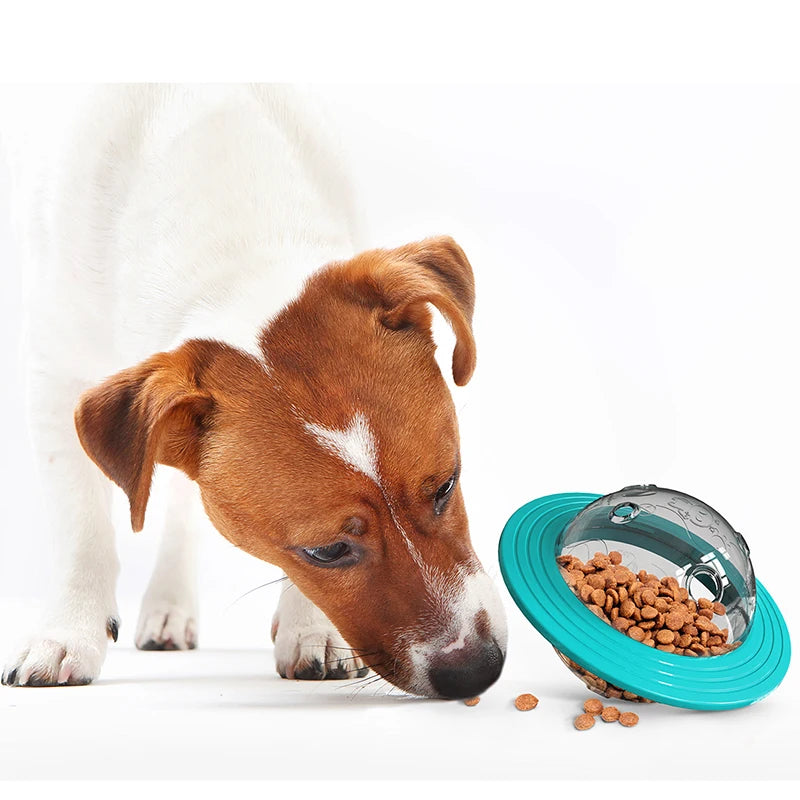 A small brown and white dog interacting with the Interactive Flying Saucer Puzzle Feeder - IQ Training & Slow Feed Toy, designed to stimulate pets while slowing their eating.
