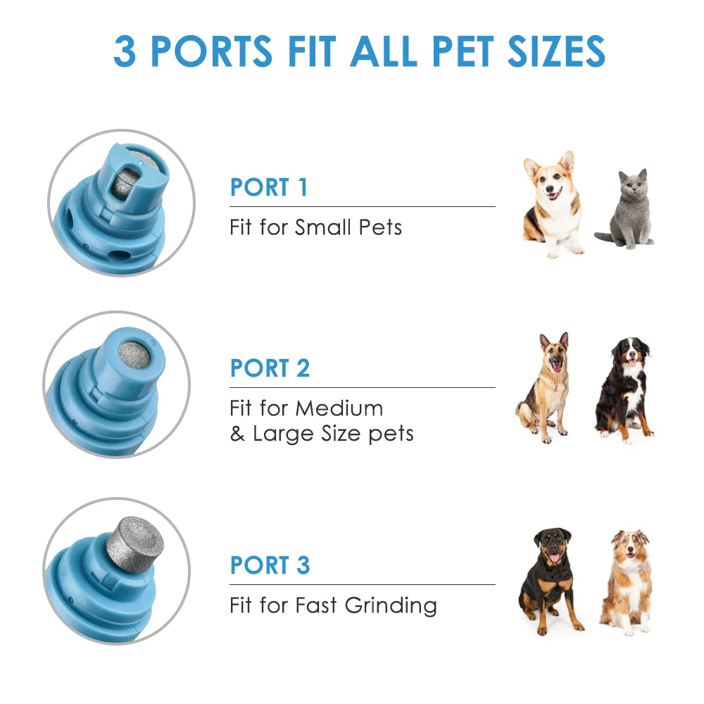Diagram showing three blue grinding ports for the Professional Electric Pet Nail Grinder - Quiet USB Rechargeable Painless Trimmer, each designed for different pet sizes with images of corresponding small, medium, and large dogs and cats.