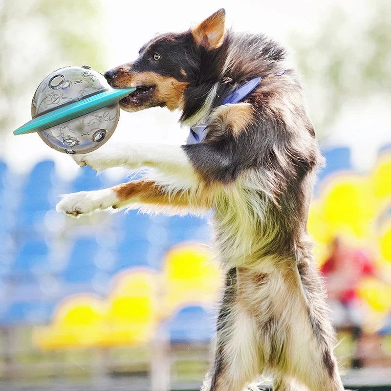 Dog playfully biting a transparent interactive flying saucer puzzle feeder suspended in mid-air, designed for IQ training and slow feeding as featured in the Interactive Flying Saucer Puzzle Feeder - IQ Training & Slow Feed Toy.
