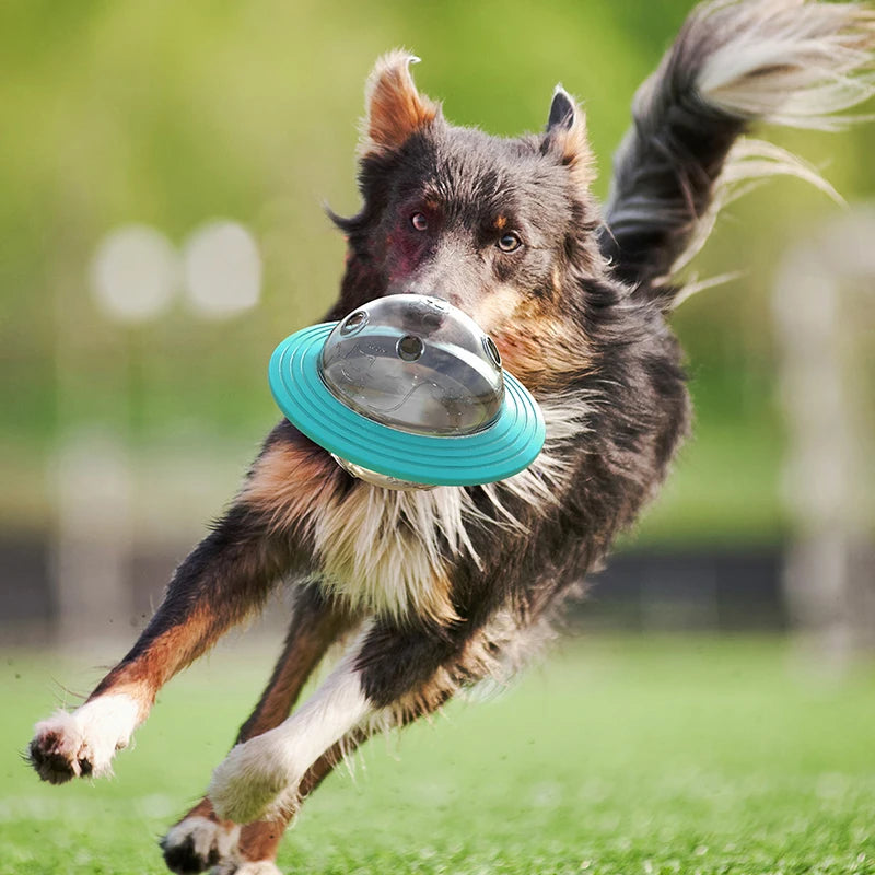 Dog energetically running outdoors with the Interactive Flying Saucer Puzzle Feeder - IQ Training & Slow Feed Toy in its mouth, promoting mental stimulation and slow feeding.