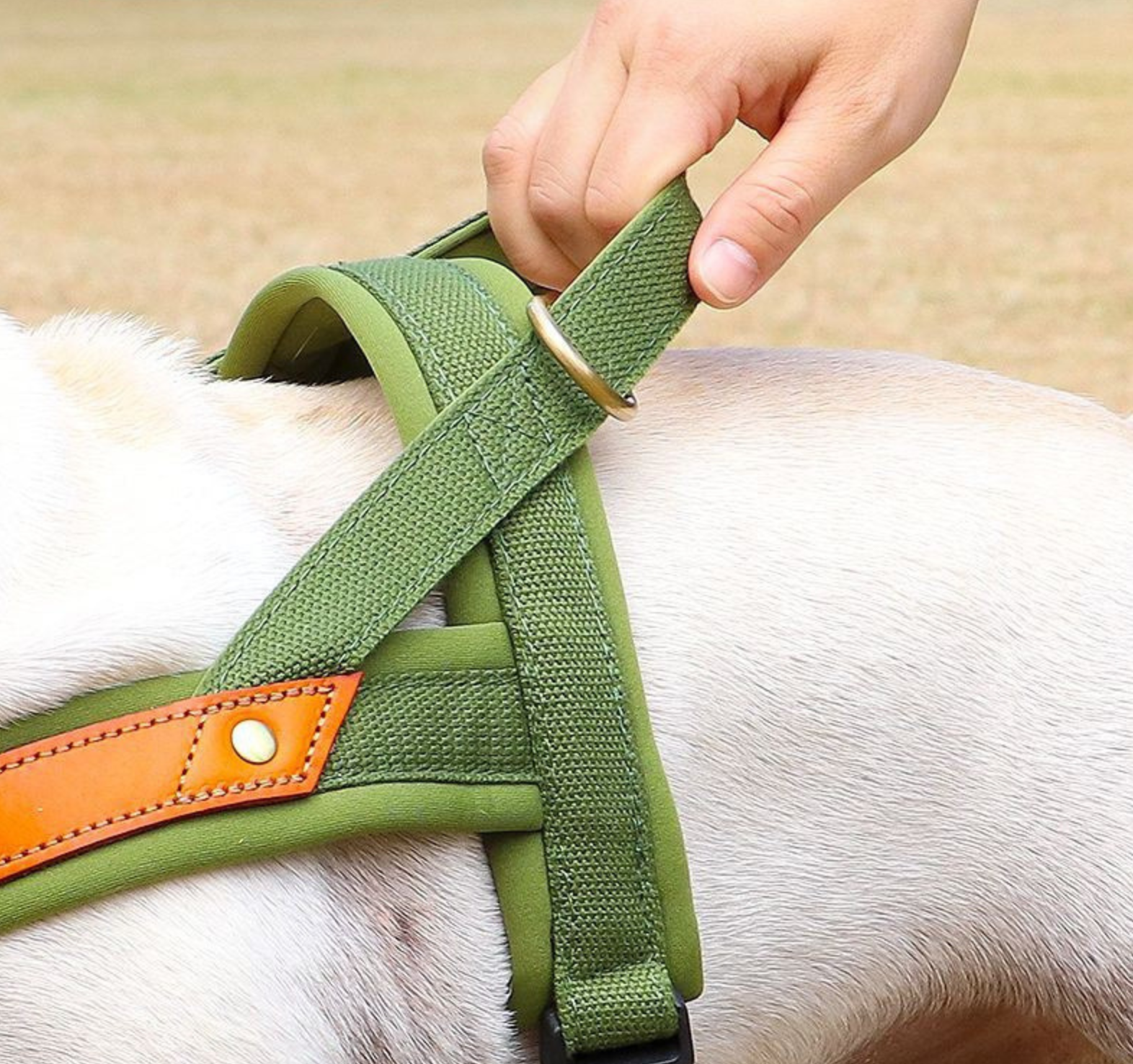 Close-up of a hand adjusting the green Ergonomic Soft-Padded No-Pull Harness - Reflective Anti-Slip Training Vest on a light-colored dog, highlighting its soft padding and durable material.